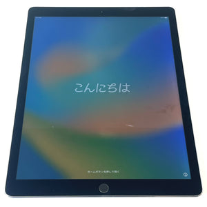 【フェア品】Apple｜iPad Pro (12.9”) 128GB